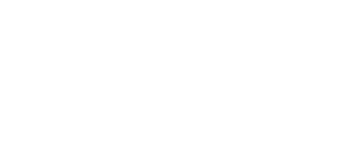 Prott Bauunternehmung Logo